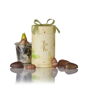 Marcipanæg i gult Cocoture gaverør - 275g