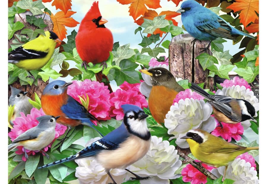 Garden Birds