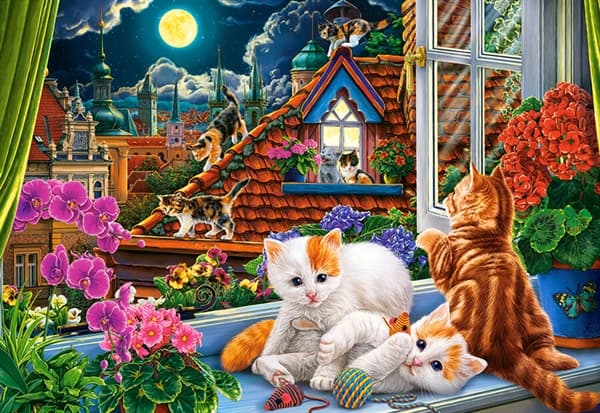 Kittens on the Roof