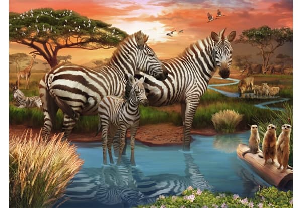 Zebras at Waterhole