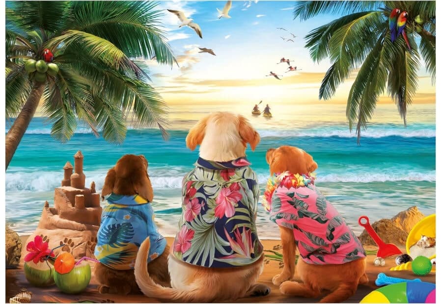 Dogs on the Beach