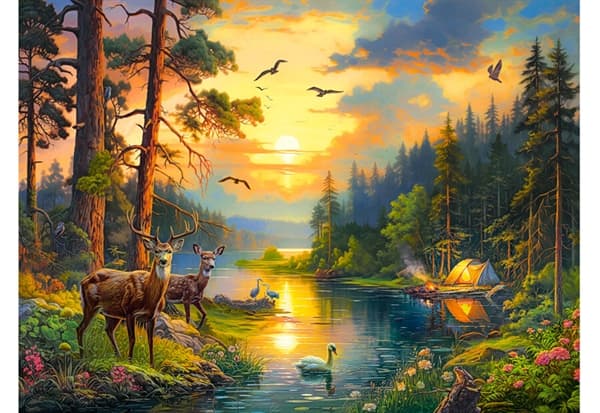 Sunset over Forest River