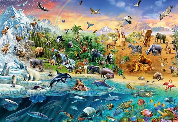 World of Animals