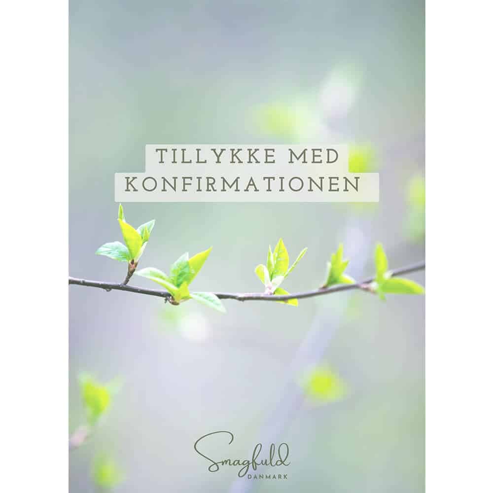 Smagfuld Danmark, Konfirmations kort