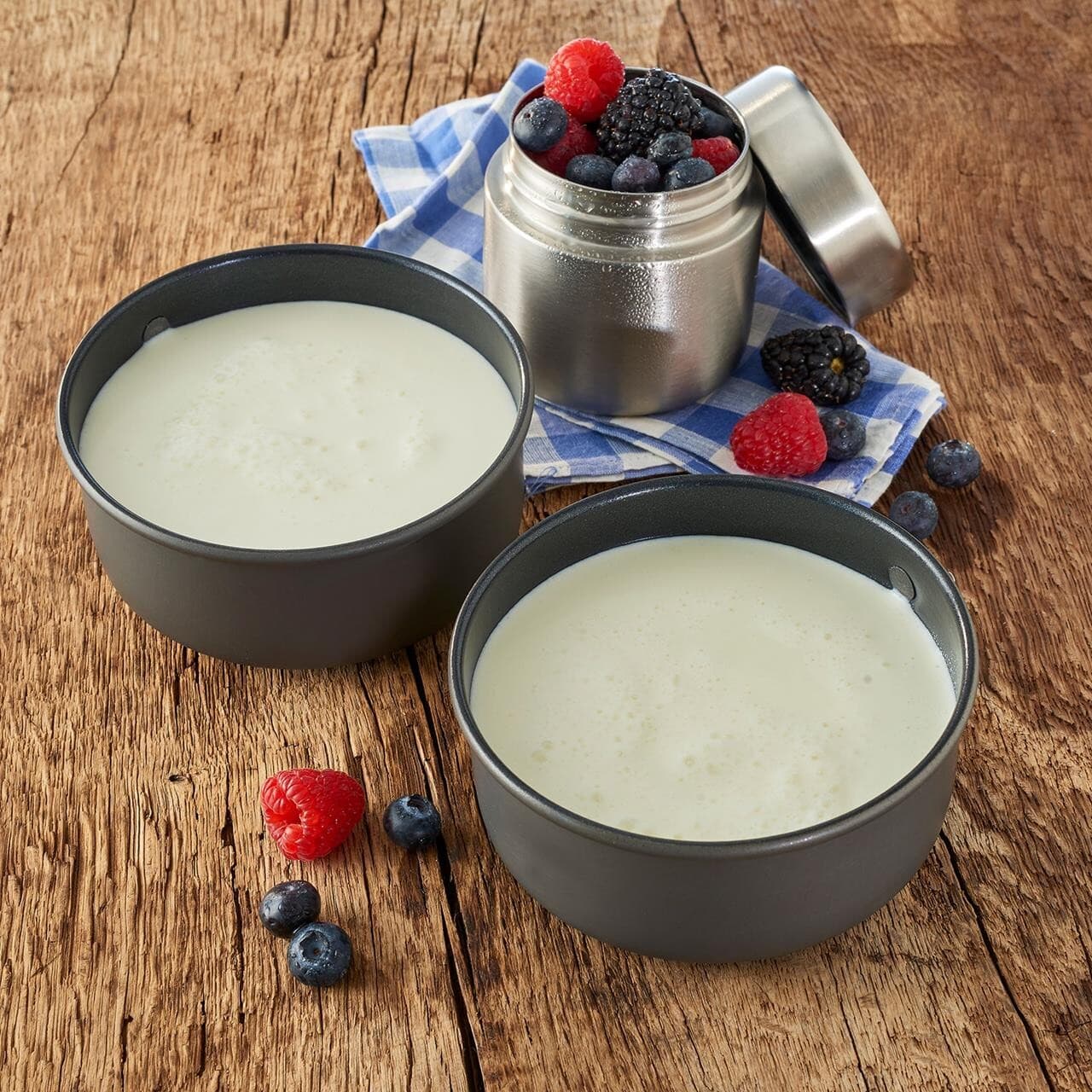 Trek N Eat Whole Milk Powder 250 g