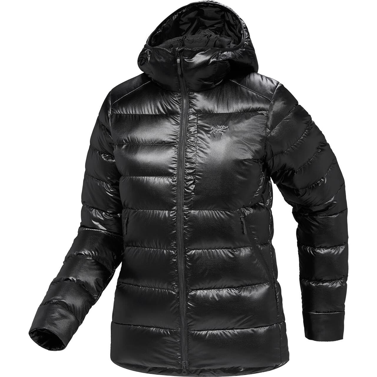 Arcteryx Womens Cerium SV Hoody (Sort (BLACK) Small)