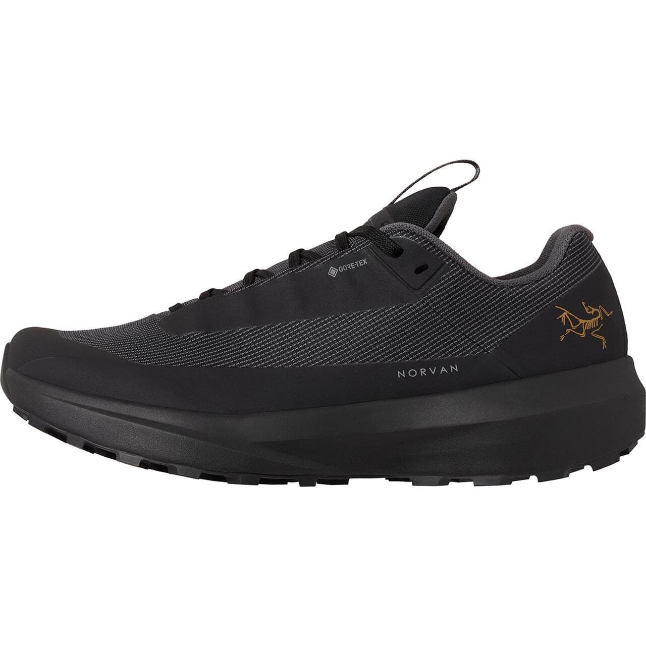 Arcteryx Womens Norvan LD 4 GTX (Sort (BLACK/BLACK) 40 2/3)