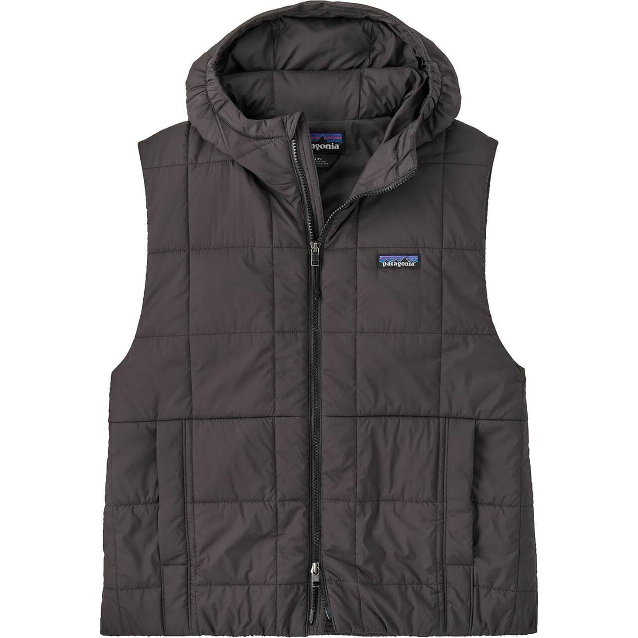 Patagonia Womens Light Gust Hooded Vest (Sort (BLACK) Small)