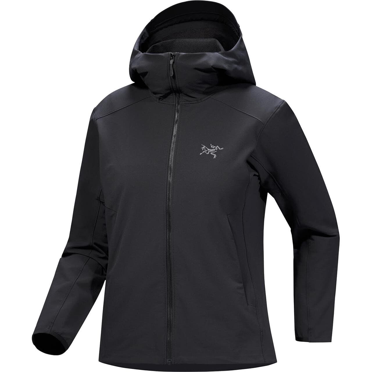 Arcteryx Womens Gamma Hoody (Sort (BLACK) X-large)