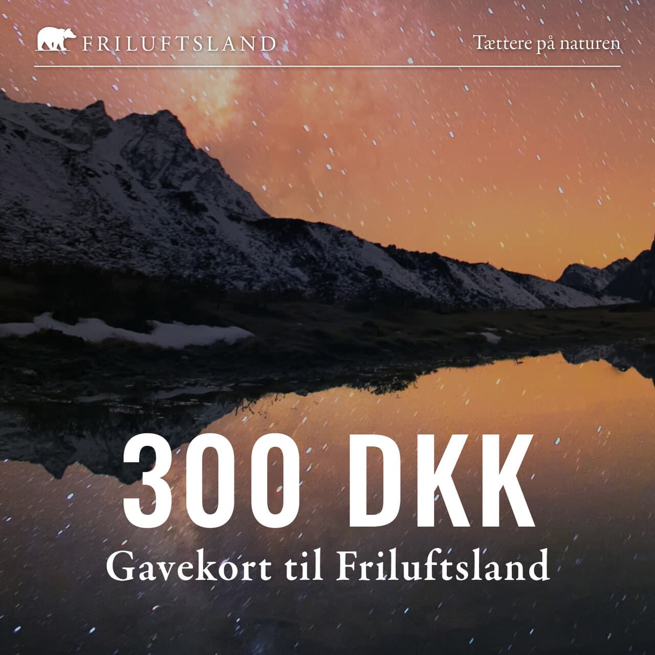 Gavekort kr 300,- (Sendes digitalt)
