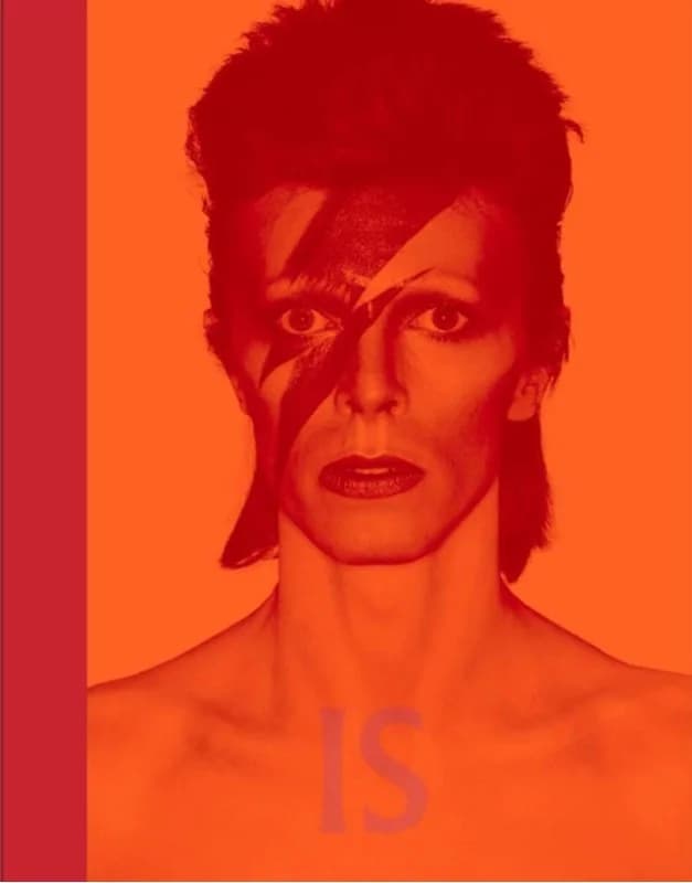 David Bowie Is (3, 2013) | Geoffrey Marsh,Victoria Broackes