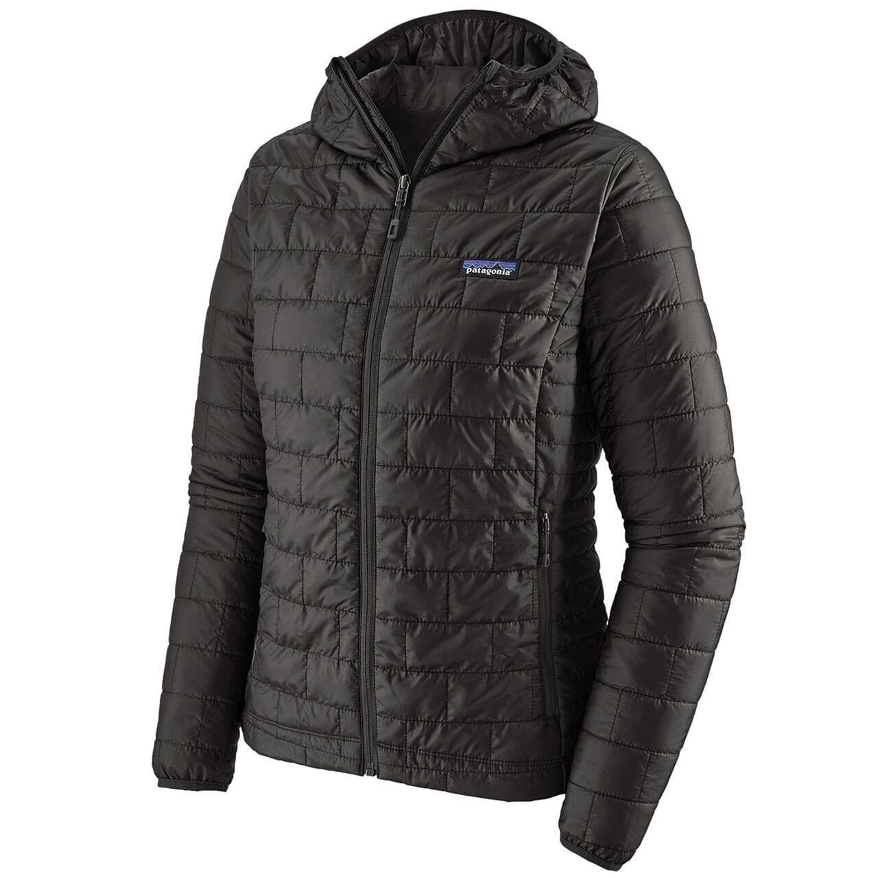 Patagonia Womens Nano Puff Hoody (Sort (BLACK) Medium)