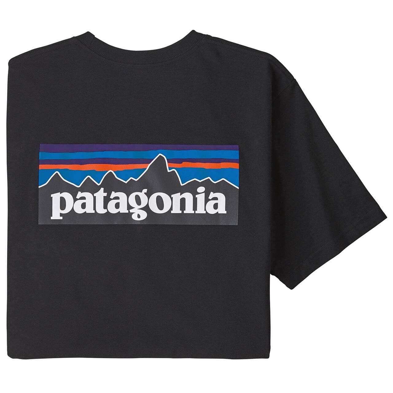 Patagonia Mens P-6 Logo Responsibili-Tee (Sort (BLACK) Large)