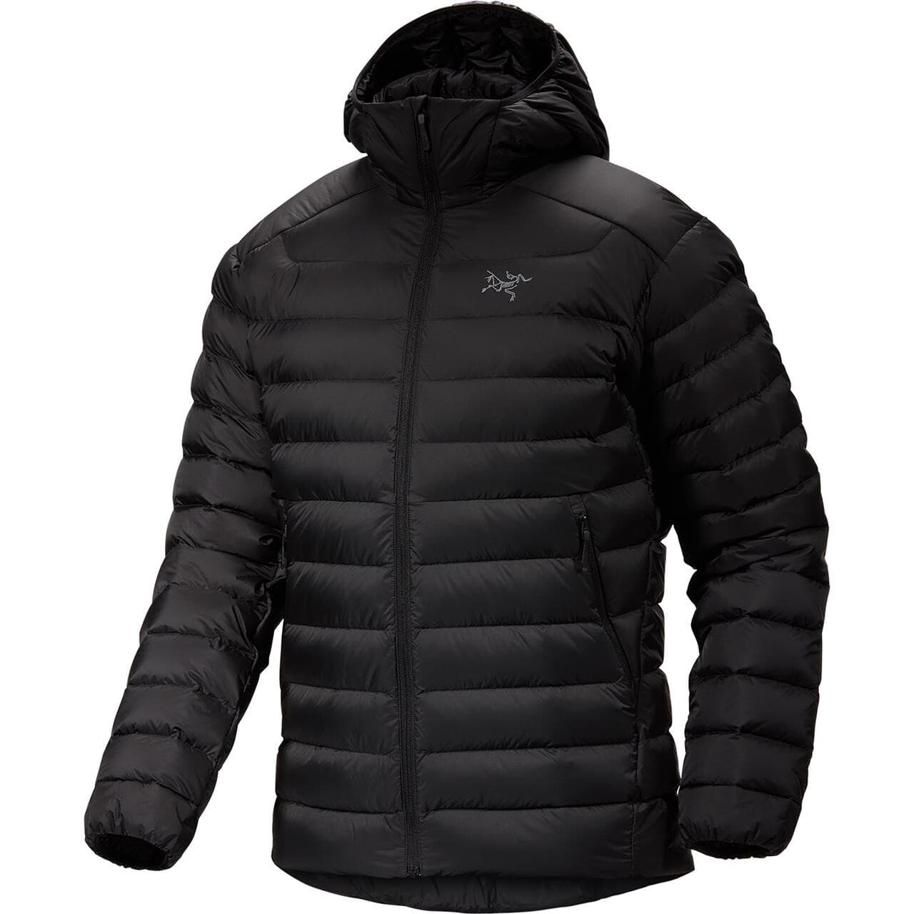 Arcteryx Mens Cerium Hoody (Sort (BLACK) X-large)