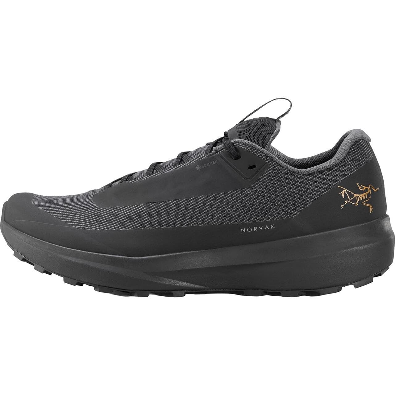 Arcteryx Womens Norvan LD 4 GTX (Sort (BLACK/BLACK) 39 1/3)