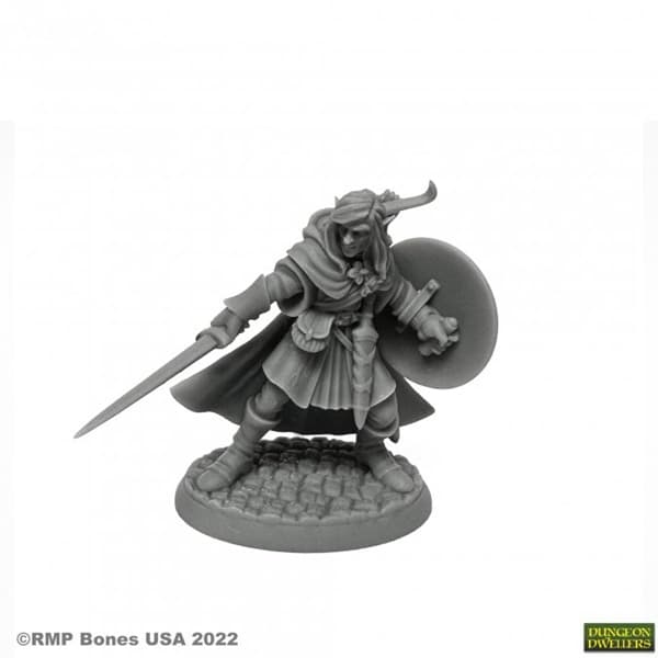 Reaper Bones USA Dungeon Dwellers: Mellonir Windrunner, Elf Warrior - Plastic Miniature