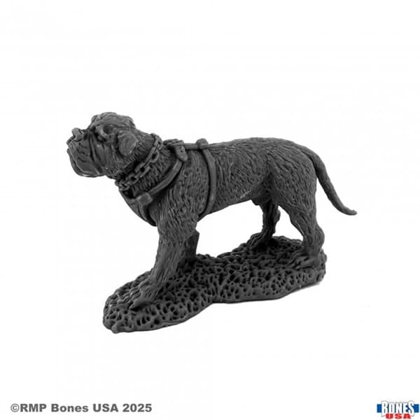 Reaper Bones USA Reaper Legends: Garr, War Dog - Plastic Miniature